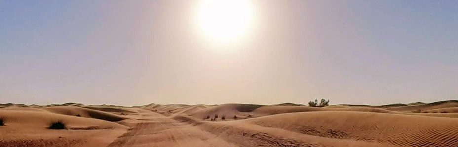 Wüste im Emirat Dubai